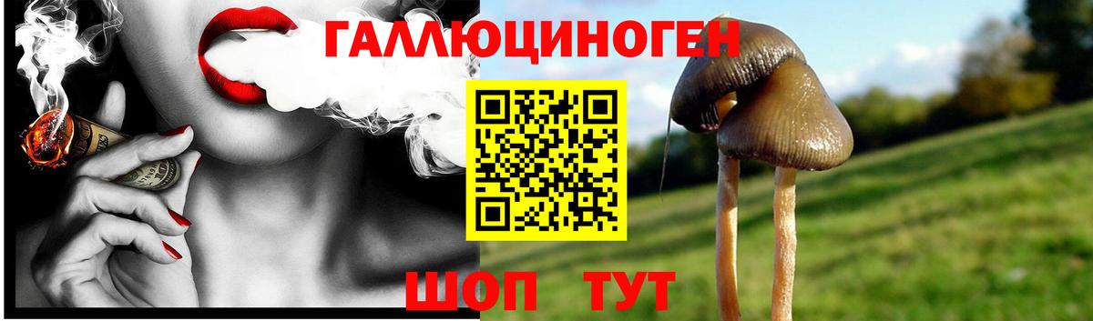 Галлюциногенные грибы GOLDEN TEACHER Глазов